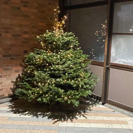 Unser Weihnachtsbaum vor dem Haupteingang